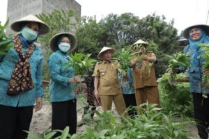 c5a74305-f826-4dac-98fa-e3a7c92507c8