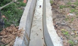 IMG-20240704-WA0036