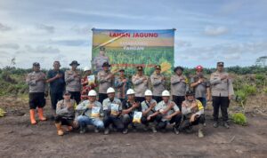 IMG-20250215-WA0001